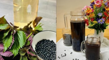 Lý do nên uống nước tía tô đậu đen