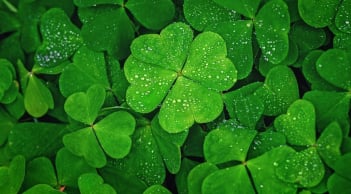 Trắc nghiệm: Bạn thành công nhờ nỗ lực hay may mắn? Làm bài test để biết ngay