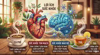 Uống trà hay cà phê mỗi ngày: Loại nào có lợi hơn cho tim mạch và trí nhớ?