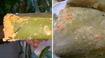 Bánh chưng bị mốc một góc, cắt đi ăn tiếp có hại gì không?