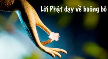 Để tâm hồn thanh thản, an yên, hãy buông bỏ 10 điều cố chấp trong đời