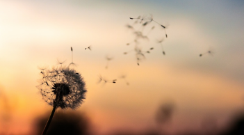 Đời người có 3 điều vô thường, 3 điều quý giá, và 3 điều không bao giờ được đánh mất