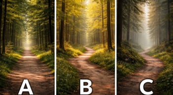 Quiz: Nhìn 3 con đường vắng, bạn chọn lối nào? Lựa chọn tiết lộ bản lĩnh thật sự của bạn