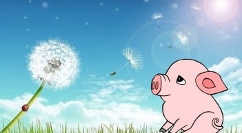 3 con giáp sớm biết buông bỏ điều không nên giữ, vì thế cuộc sống nhẹ nhàng và ít muộn phiền