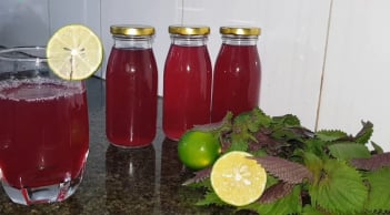 5 lý do bạn nên uống nước tía tô mỗi ngày