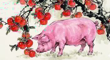 3 con giáp chẳng cần tranh giành vẫn được trọng dụng, cơ hội đổi đời ở tuổi 30