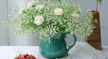 Trắc nghiệm tâm lý: Điều gì trong bạn đang âm thầm nở hoa?