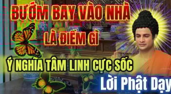 3 dấu hiệu vào buổi tối chứng tỏ nhà bạn sắp may mắn lớn về tiền tài, công danh