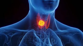 Các bác sĩ khuyên, tránh 3 điều này trước khi đi ngủ để bảo vệ tuyến giáp của bạn