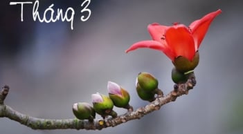 Tháng Ba có gì đặc biệt, số 3 may mắn hay xui xẻo? Bạn thấy số 3 trong đời sống mình thế nào?