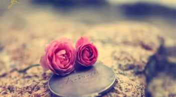 Bạn nghĩ điều gì là quan trọng nhất trong cuộc sống? Tiền bạc, tình yêu hay cuộc sống?