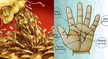 Nếu lòng bàn tay xuất hiện đường vân nhỏ này là dấu hiệu phát tài, hậu vận sung túc