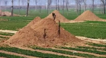 Vì sao người già ở nông thôn vẫn chọn chôn cất thay vì hỏa táng? 4 lý do ít ai để ý