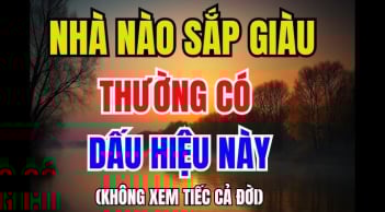 3 dấu hiệu báo trước nhà bạn sắp may mắn