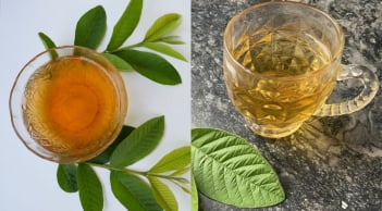 Cách uống nước lá ổi giảm mỡ bụng, giúp eo thon, giảm cân nhanh