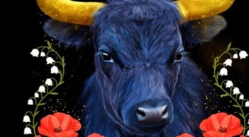 Từ 15–25/3: 3 cung hoàng đạo càng chăm chỉ càng dễ thấy tiền về, có khoản lớn bất ngờ