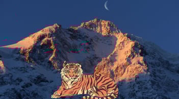 Cuối tuần 14-15/3: 3 con giáp nên cẩn thận khi đi xa, dễ phát sinh trục trặc khiến kế hoạch bị chậm