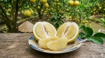 Loại quả đặc sản Vĩnh Long lọt top trái cây ngon nhất thế giới: Vị ngọt thanh, trồng một lần thu hoạch lâu dài