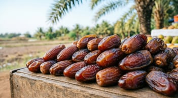 Loại quả “tốt nhất thế giới” trồng ở Đồng Tháp: Một lần xuống giống, nhiều năm thu hoạch, giá tới 250.000 đồng/kg