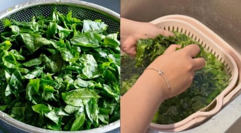 Vì sao người ta phải vò nát rau ngót trước khi nấu?