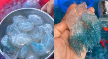 Một đặc sản Huế bỗng “gây sốt” mỗi dịp đầu năm: Màu xanh trong veo lạ mắt, ai từng ăn đều nhớ