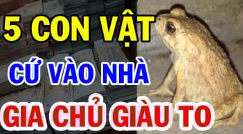 5 con vật vào nhà Thần Tài ghé thăm: Càng ở lâu càng giàu có
