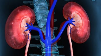 5 dấu hiệu vào ban đêm chứng tỏ thận của bạn rất khỏe mạnh