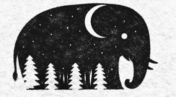 Quiz: Bạn nhìn thấy gì trước, để xem bạn giàu trí tưởng tượng hay thiên về lối suy nghĩ đơn giản