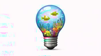 Quiz:  Cơ hội nào đang tới gần với bạn