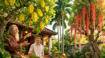 Tổ tiên dặn: Trong nhà có 3 loại cây này đừng vội chặt kẻo dễ hao lộc, mất may mắn