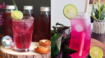 Cách uống nước tía tô chanh giúp giải độc, tiêu mỡ, giảm cân nhanh