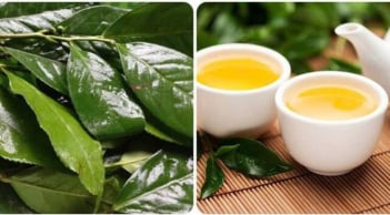 Những người không nên uống chè xanh: Tưởng tốt mà lại hại