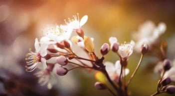 Sinh ra là để làm việc lớn, rạng danh dòng họ: 4 khung giờ âm lịch của người bản lĩnh, mạnh mẽ