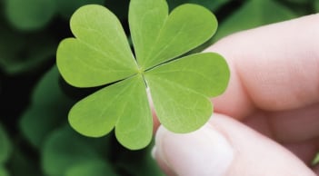 Ai có 1 trong 3 'mùi' này trên cơ thể là dấu hiệu của người có may mắn lớn, ăn sung mặc sướng