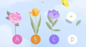 Trắc nghiệm năm 2026: Cuộc sống của bạn sẽ nhàn nhã, êm ả hay vất vả?