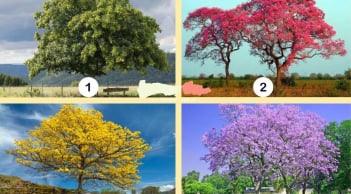 Trắc nghiệm vui: Bạn có thứ gì nhiều nhất trong tương lai?