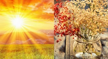 Đúng ngày đại cát 2/2 âm lịch: Làm 5 việc này, cả năm tài lộc hanh thông, ai cũng nên biết