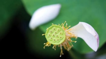 5 loại “Nhân quả” này, dù bạn là ai, giàu hay nghèo đến đâu đều không thể thoát khỏi