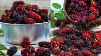 4 công thức nước dâu tằm giúp cải thiện làn da từ bên trong một cách tự nhiên