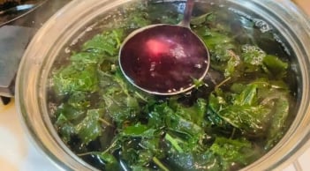 5 người nên thường xuyên uống nước lá tía tô