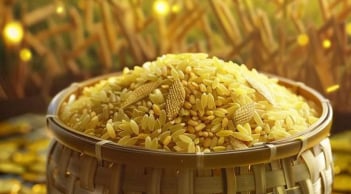  Từ 5-10/2 âm lịch: 3 con giáp đón cơ hội tiền bạc dồn dập, ai nhanh tay người đó thắng lớn