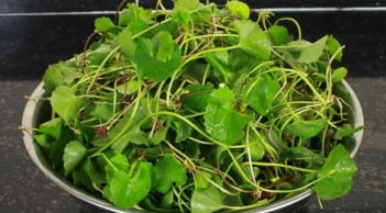 Top 5 loại rau củ giúp “giải nhiệt” gan, tăng cường thải độc tự nhiên