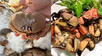 Cúm núm Quảng Ngãi: Đặc sản cua lạ “nhỏ mà ngon”, ai ăn thử cũng nhớ