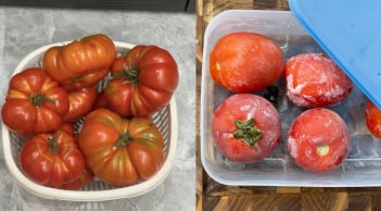 Mẹo bảo quản cả chua, để cả năm vẫn tươi ngon như mới