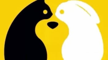 Trắc nghiệm thị giác: Bạn nhìn thấy hình ảnh nào đầu tiên?