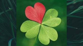 Từ tháng 4 đến tháng 6: 3 tuổi vượng quý nhân, làm việc lớn có người nâng đỡ