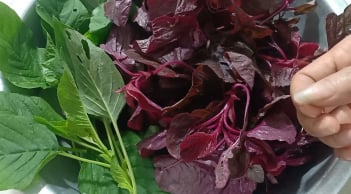 Những người không nên ăn rau dền