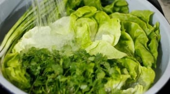 Rau tốt nhất thế giới xuất hiện tại chợ Việt: Giá rẻ bất ngờ, mua ngay kẻo lỡ