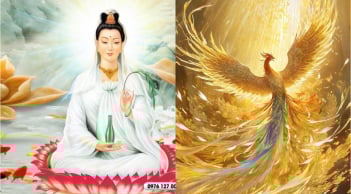 Hoa rơi cửa phật: 3 con giáp được Quan Thái Âm Bồ Tát che chở, biến hung thành cát