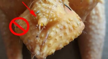 4 bộ phận bẩn nhất của gà, nhiều người 'tiếc của' vẫn ăn